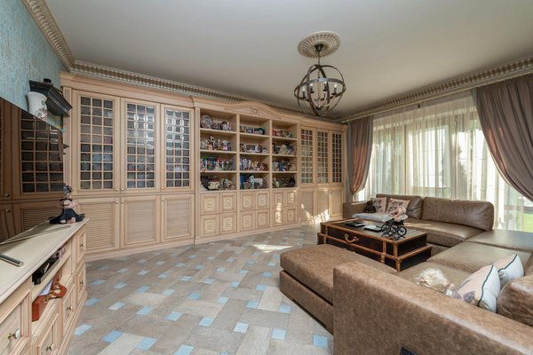 Emerging Pet Fads and Their Lasting Impact: A Deep Dive